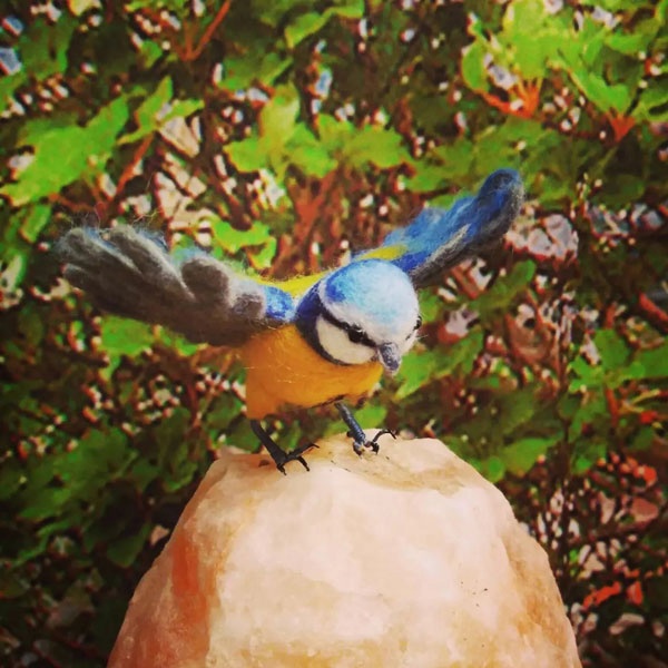 обучение сухому валянию шерсти для начинающих в СПб